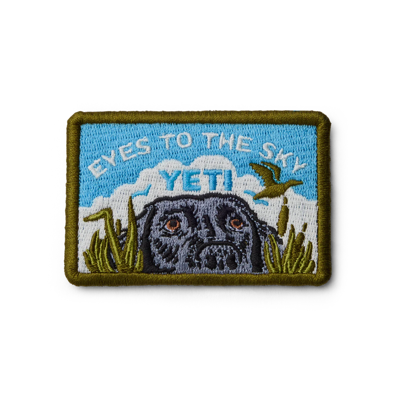 Eyes To Sky Patch