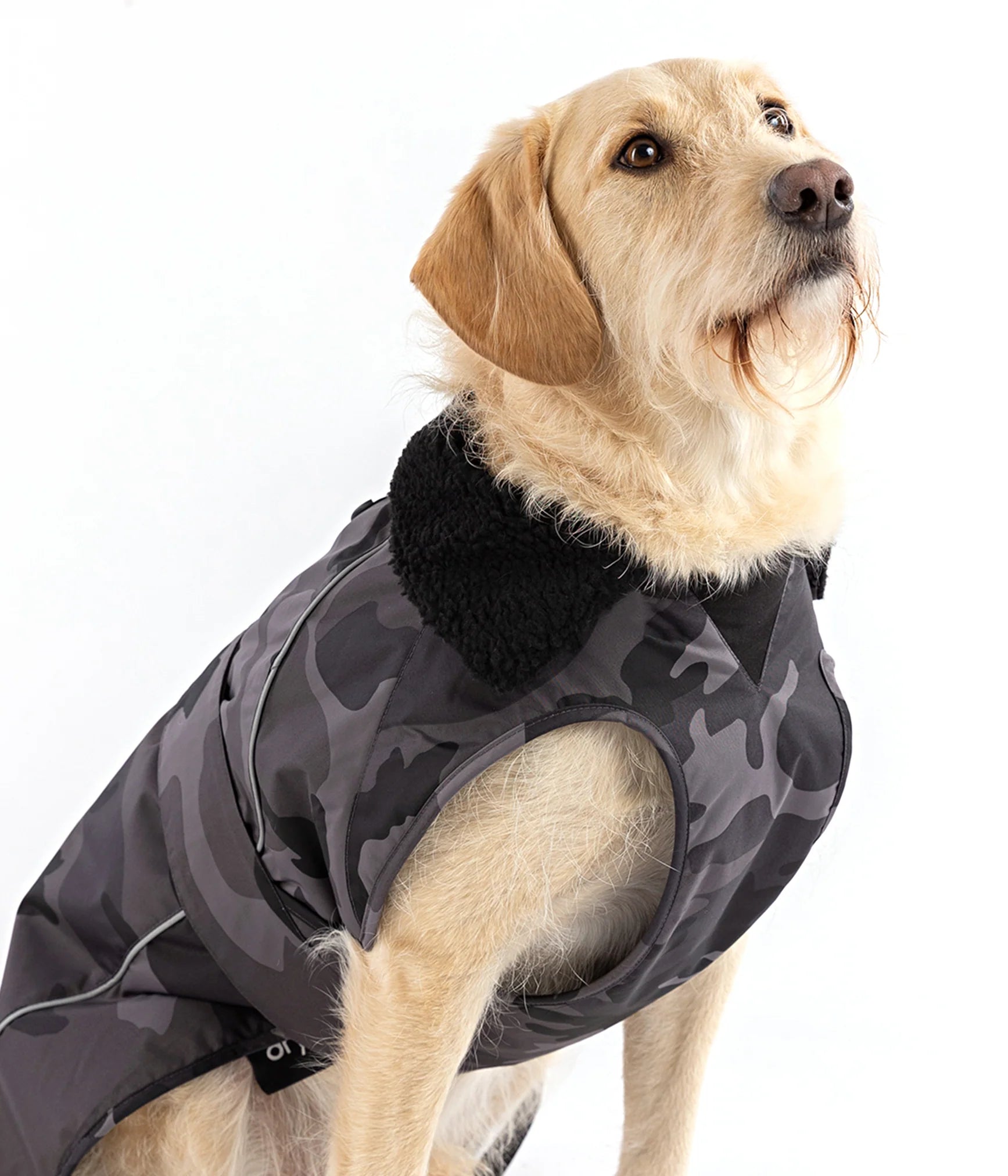 Camo 2024 dog sweater